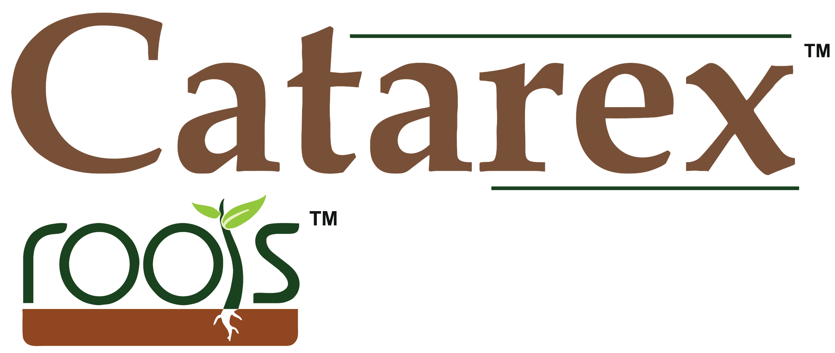 Catarex Roots